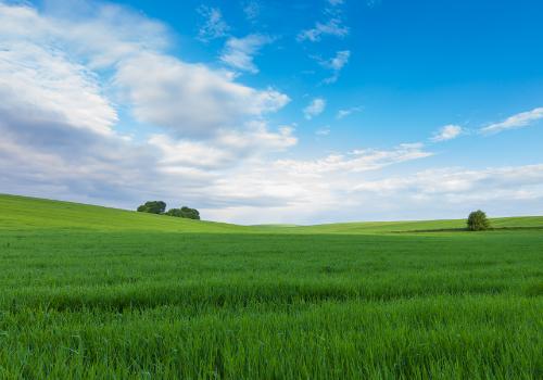 _placeholder_landscape.jpg